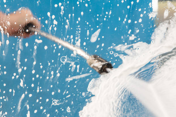 Best Roof Cleaning and Mildew Removal in Hazlehurst, GA